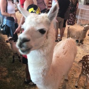 Meet your Posher, Roger